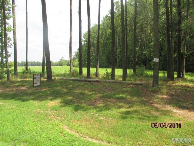Lot 22 Suttons Landing Road - Photo 1