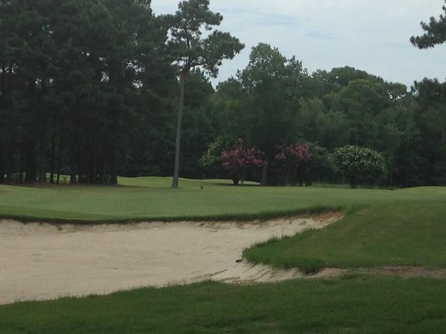 TBD Lot8 Back Bay Circle - Photo 1