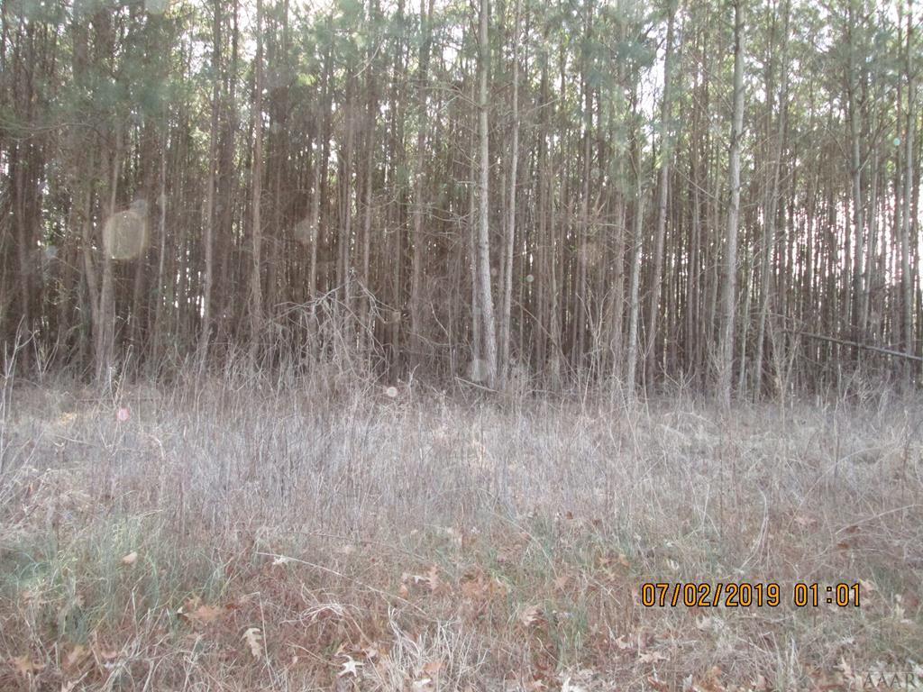 TBD Albemarle Road - Photo 1