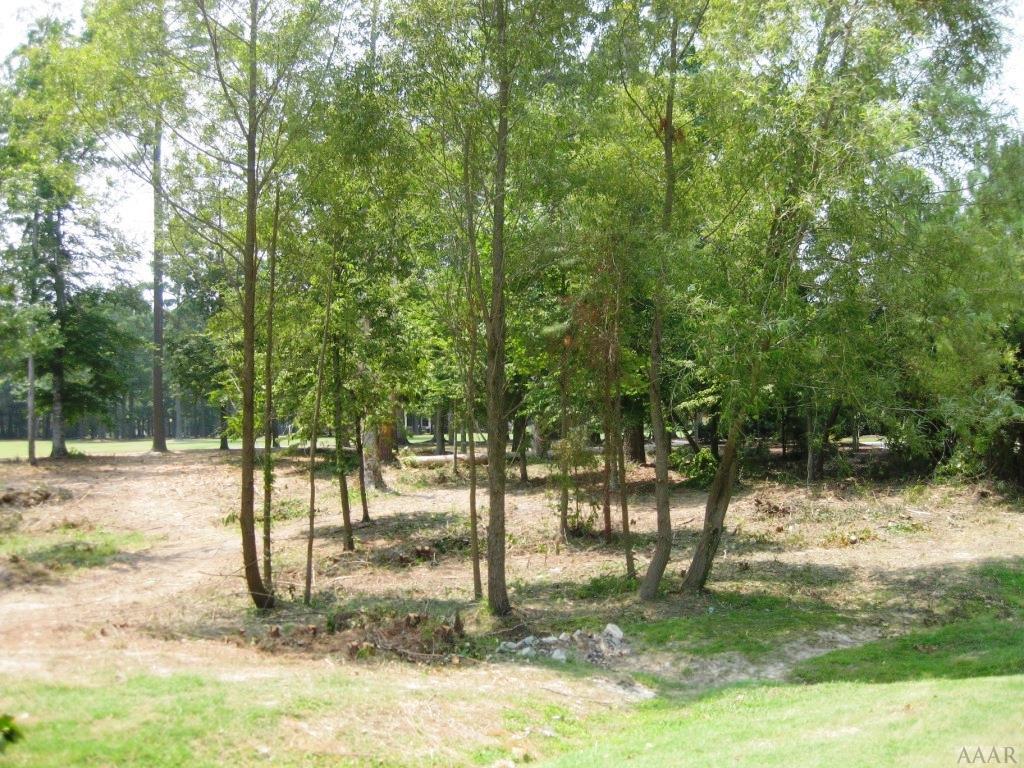 0 Roanoke Dr - Photo 1