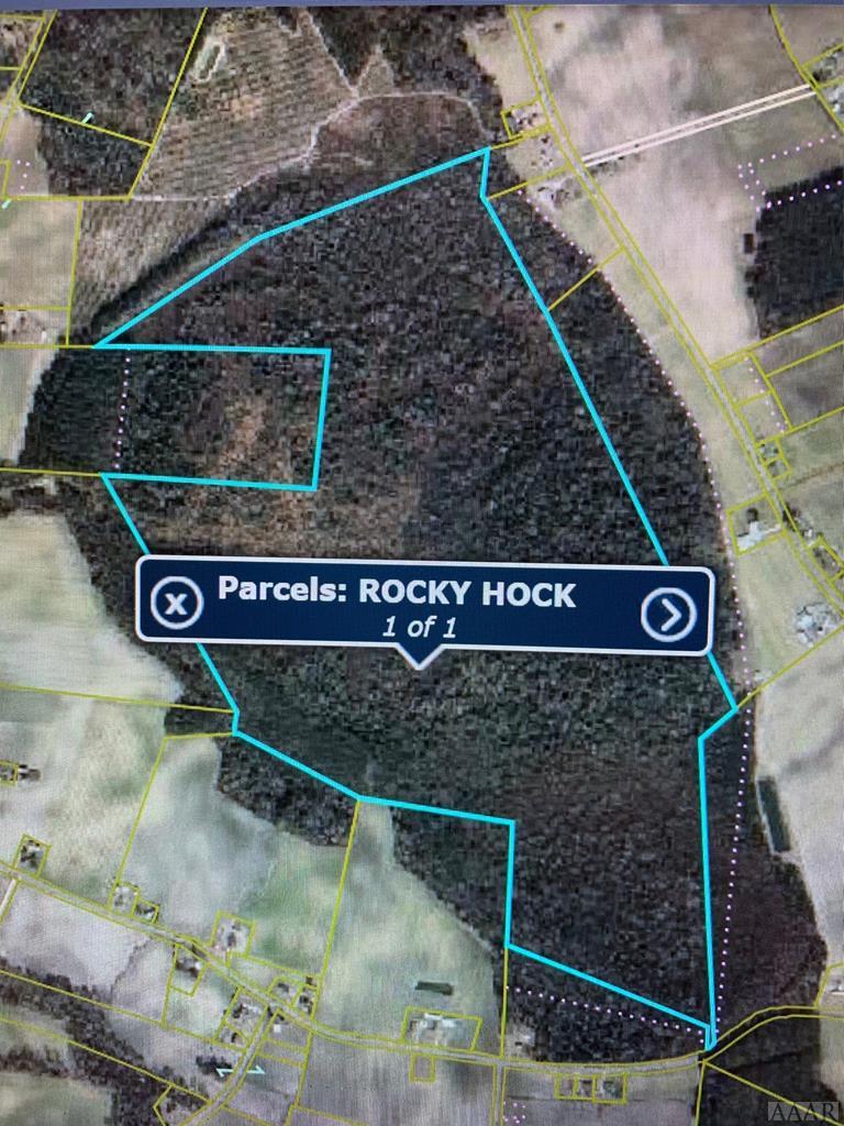 1612 Rocky Hock Landing - Photo 1
