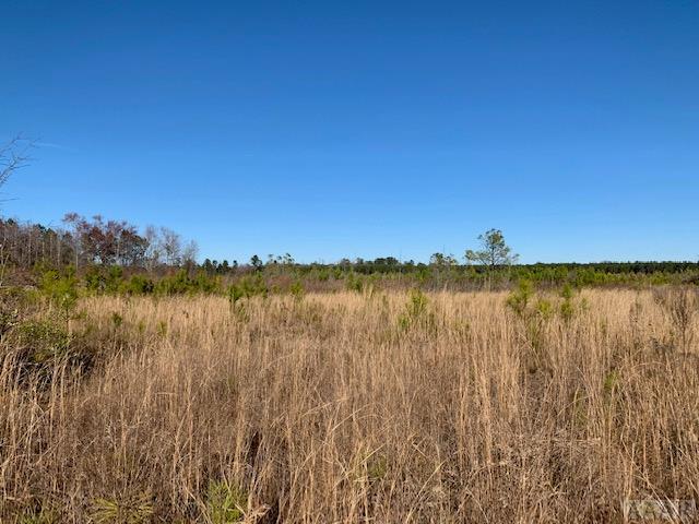 TBD Lot Hwy 45 - Photo 1