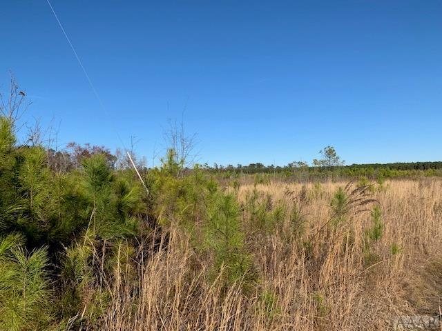 TBD Lot Hwy 45 - Photo 1