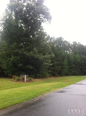 0 Symonds Creek Court - Photo 1