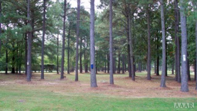 Lot 37 Waccamaw Drive - Photo 1