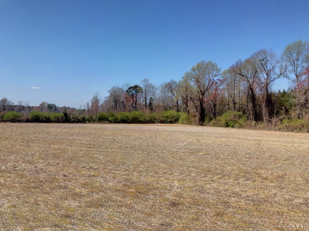 1247 Macedonia Road - Photo 1
