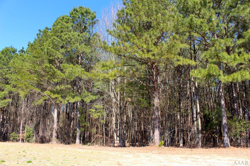 TBD State Route 1166 - Photo 1