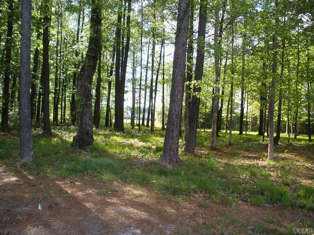 0 Pinto Lane - Photo 1