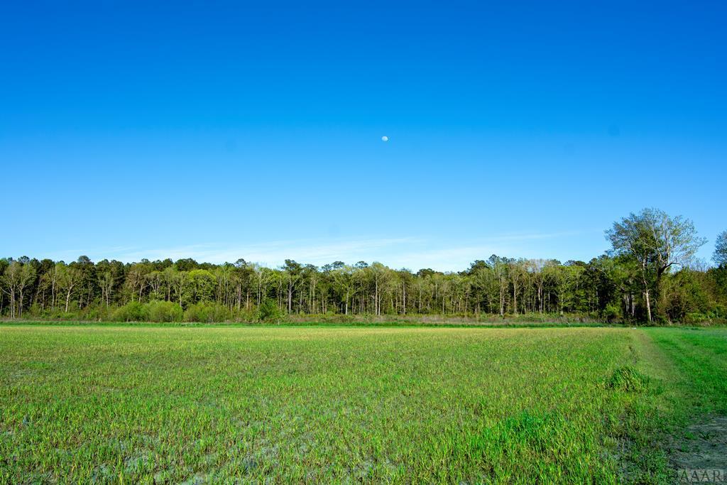 1232 Macedonia Road - Photo 1
