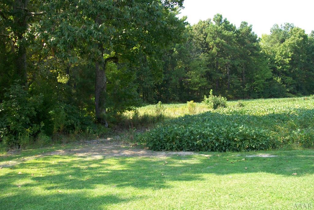 212 Plumtree Circle - Photo 1