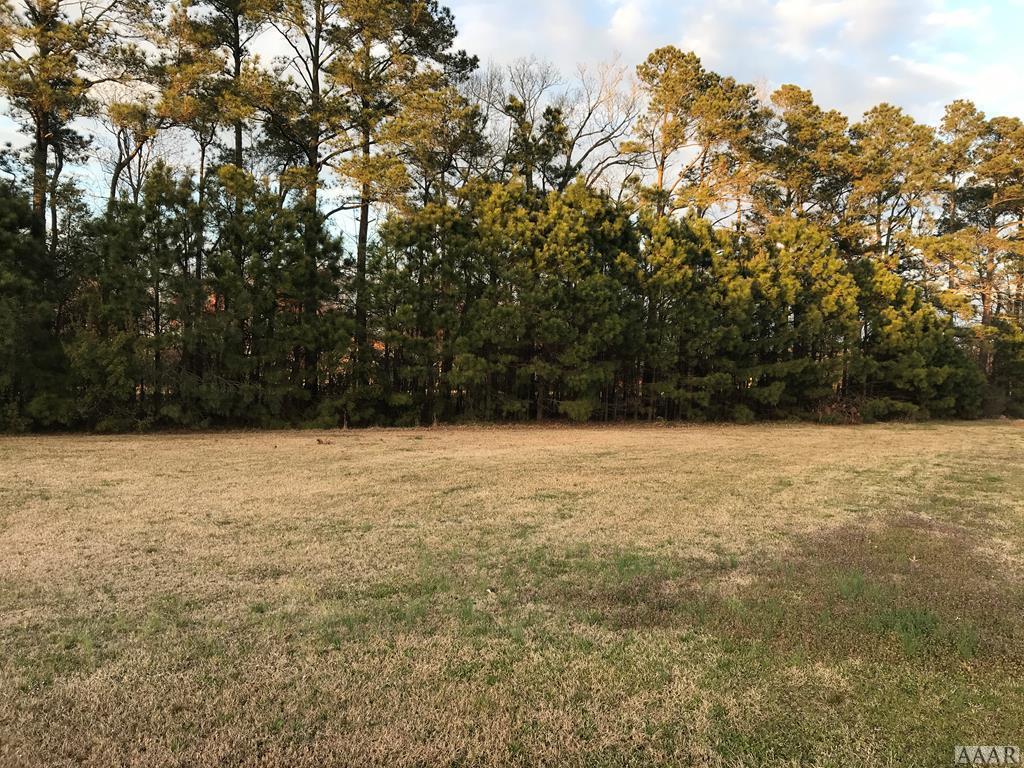 TBD Big Flatty Creek Court - Photo 1