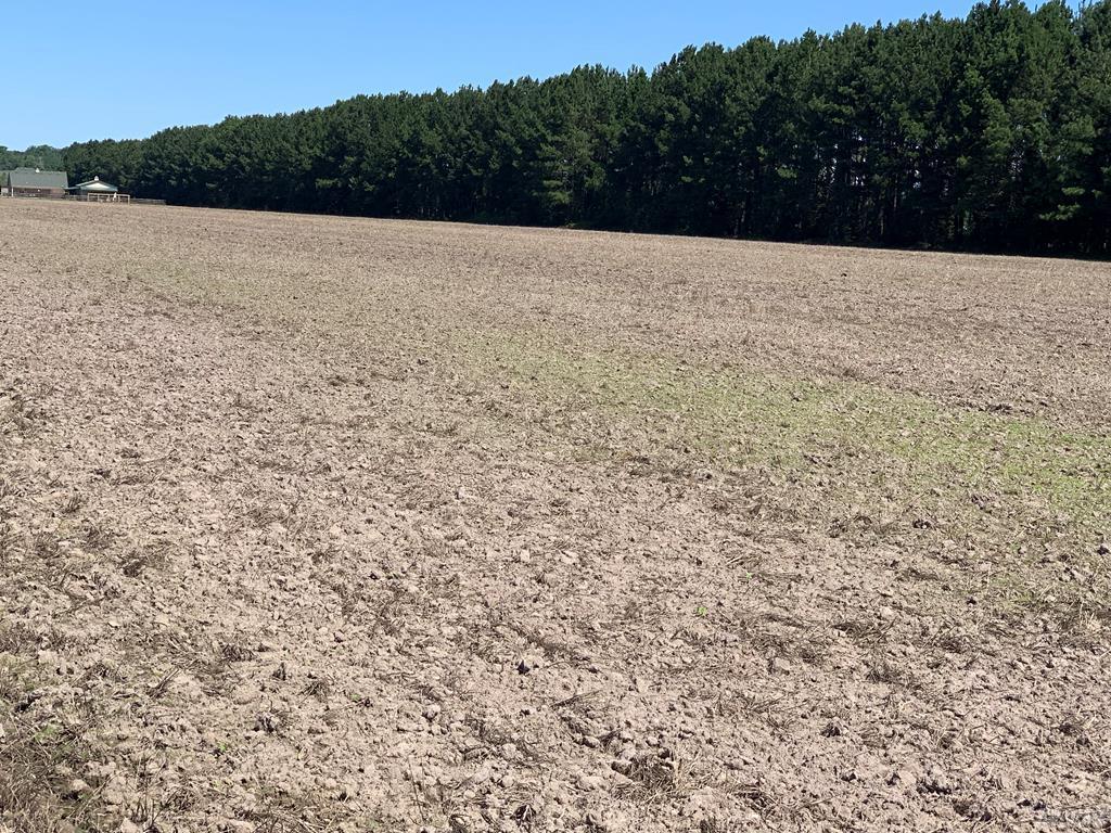 Lot 3 Puddin Ridge Road - Photo 1