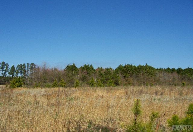 340 Durant Drive - Photo 1