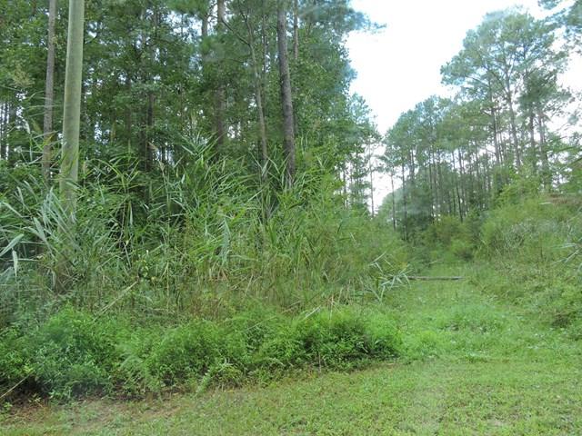 104 Lamb Drive - Photo 1