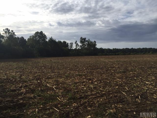 867 South Mills Road - Photo 1
