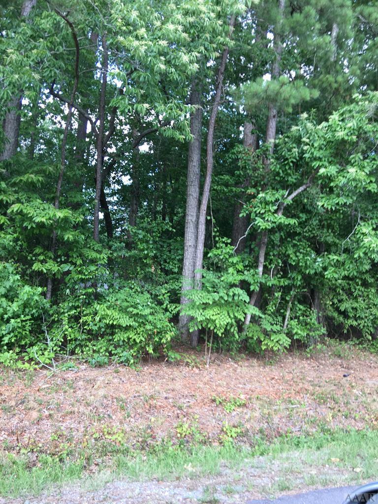 Lot 62 Laurel Street - Photo 1