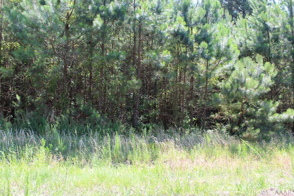 Lot # 49 Masons Point Street - Photo 1