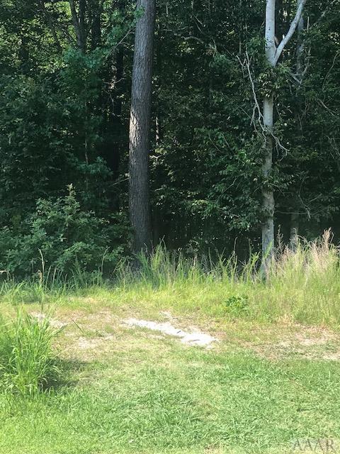 Lot 37-J Discovery Trail - Photo 1