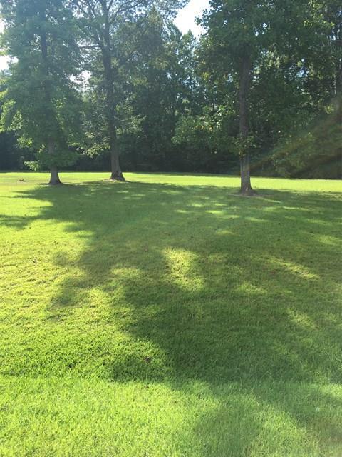#41 Riverwood Dr - Photo 1