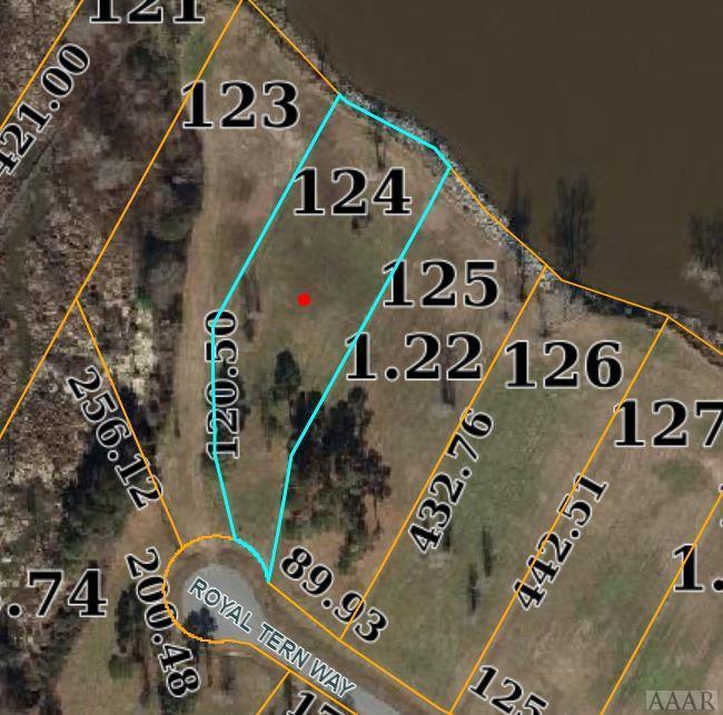 124 Royal Tern Way - Photo 1