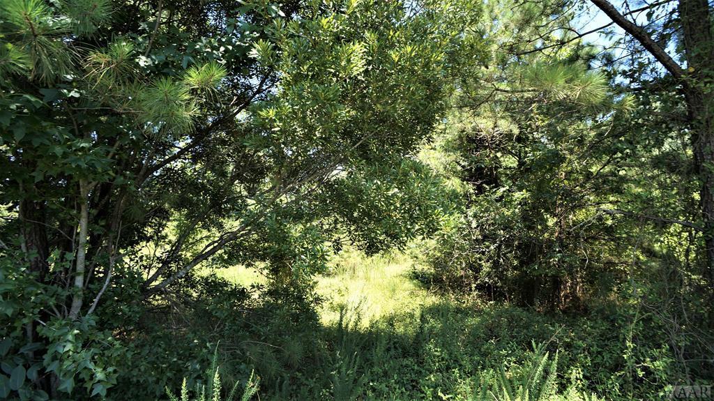 1795 Caratoke Hwy - Photo 1