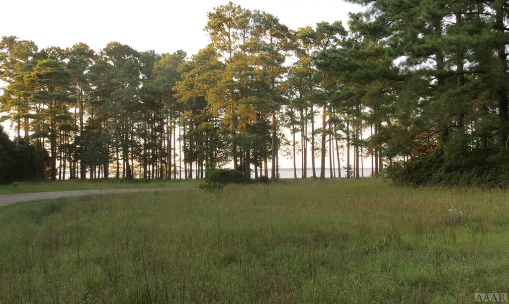 TBDD Cedar Shores Drive - Photo 1