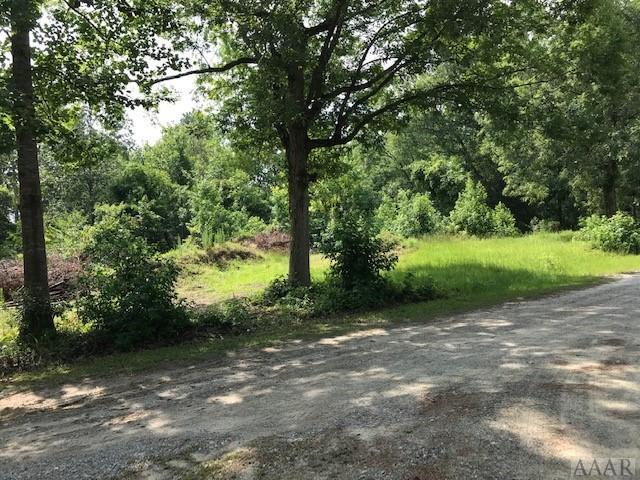 119 Drake Trail - Photo 1