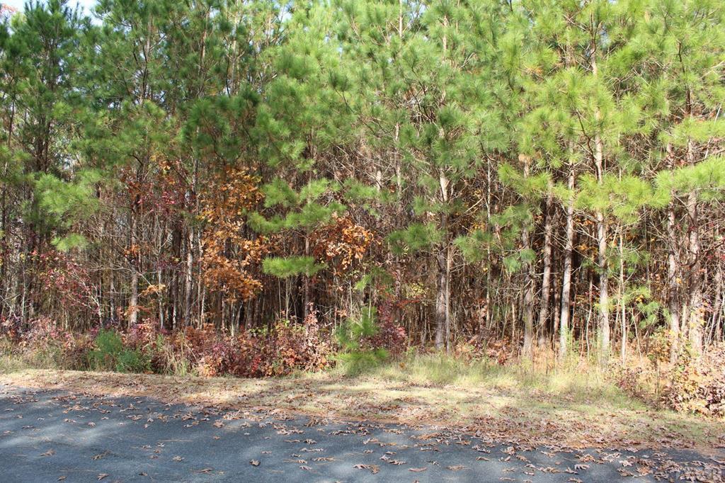000 Evergreen Drive - Photo 1