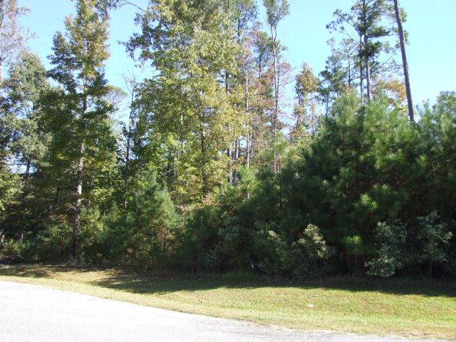 162 French Broad Road - Photo 1