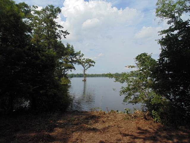 TBD Swains Mill Road - Photo 1
