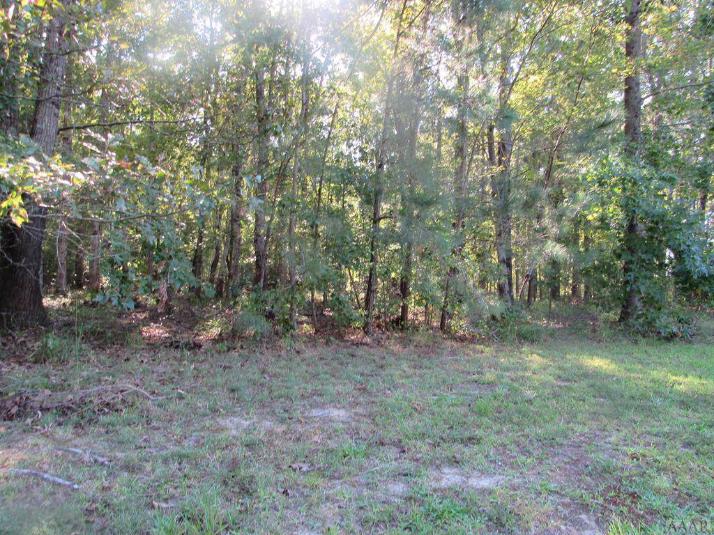 140 Atkins Way - Photo 1