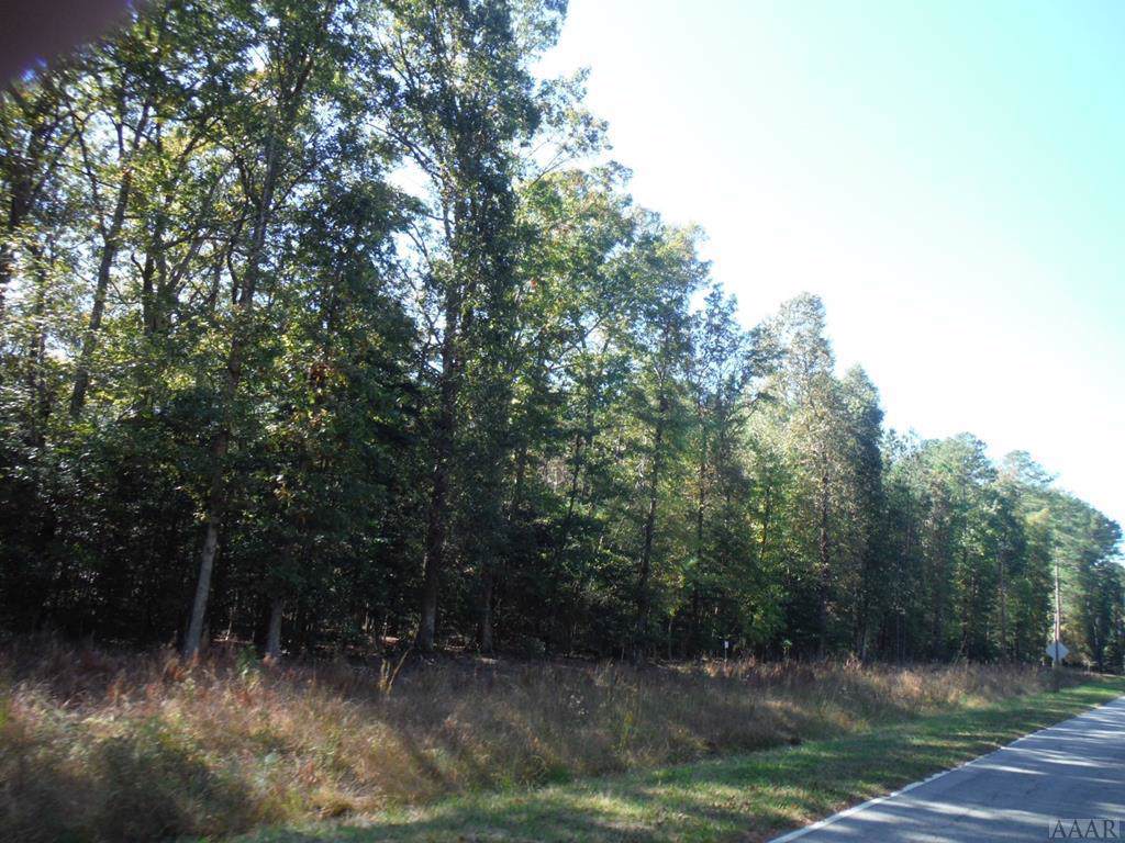 TBD George Parker Road - Photo 1