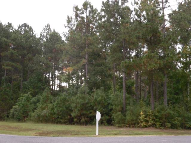 TBD Boshers Point Dr - Photo 1