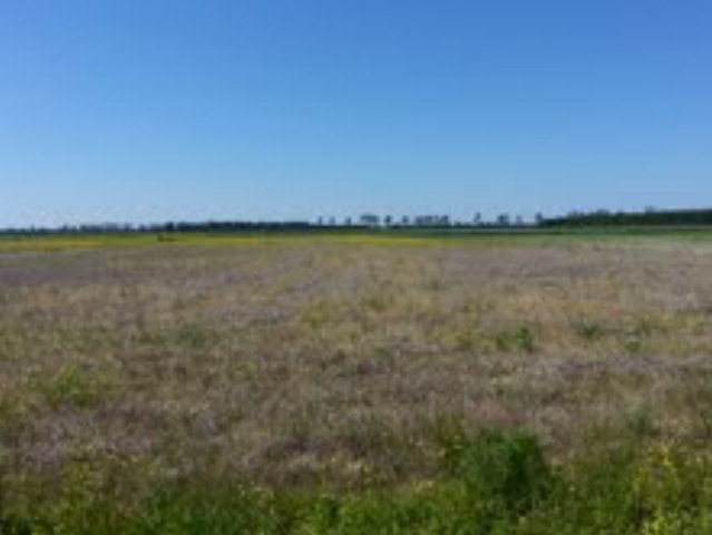 000 Lynch's Corner Road - Photo 1