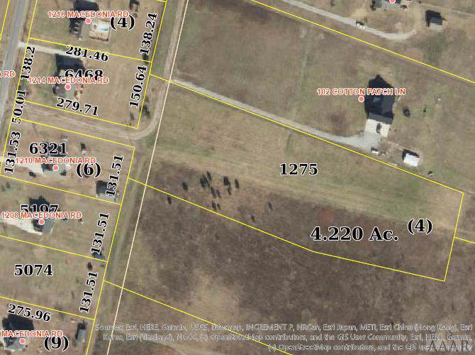 100 Cotton Patch Lane - Photo 1