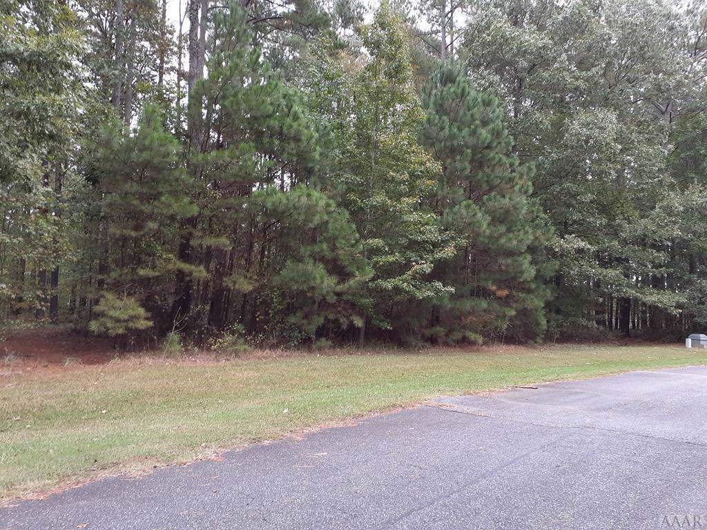 109 Chatooga Court East - Photo 1