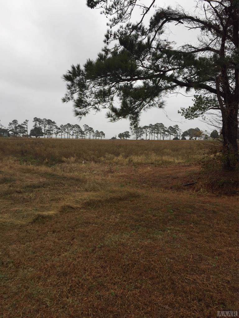 113 Sanderson Court - Photo 1