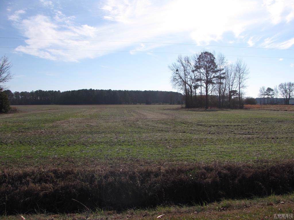 TBD Gatling Road - Photo 1