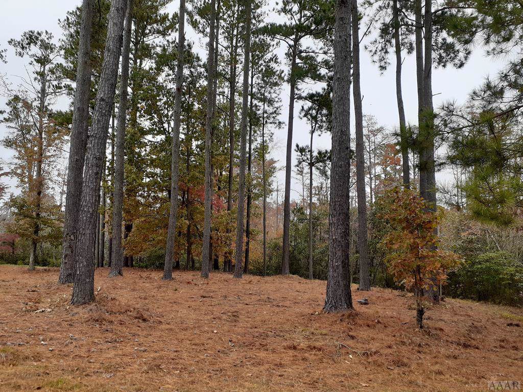 Lot 38 Robert Court - Photo 1