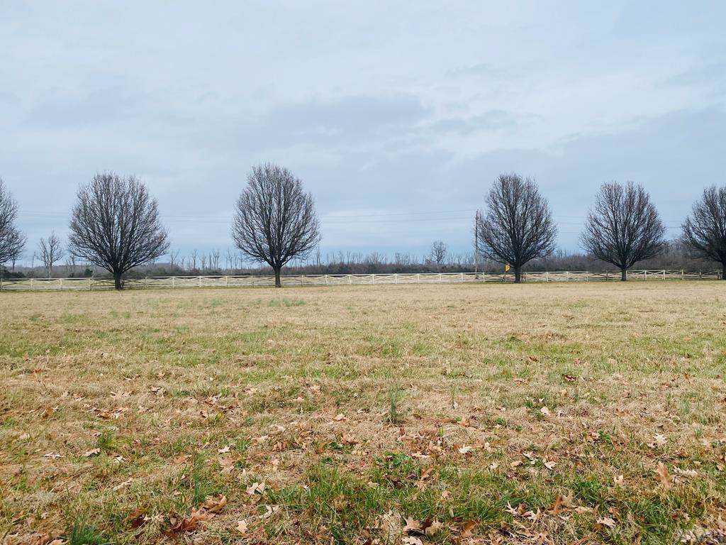1102 Soundside Road - Photo 1