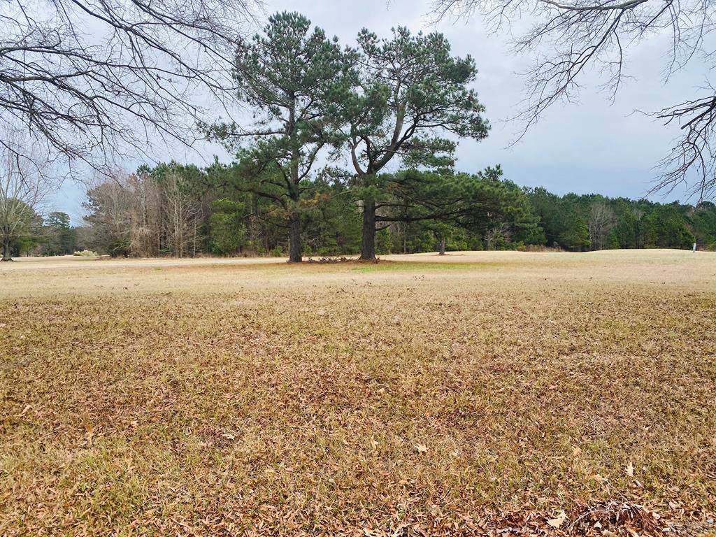 107 Mulberry Hill Lane - Photo 1