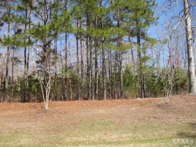 TBD Beech Point Dr - Photo 1