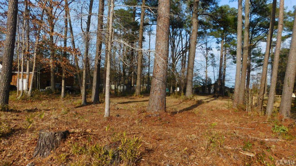 1604 Caddy Lane - Photo 1