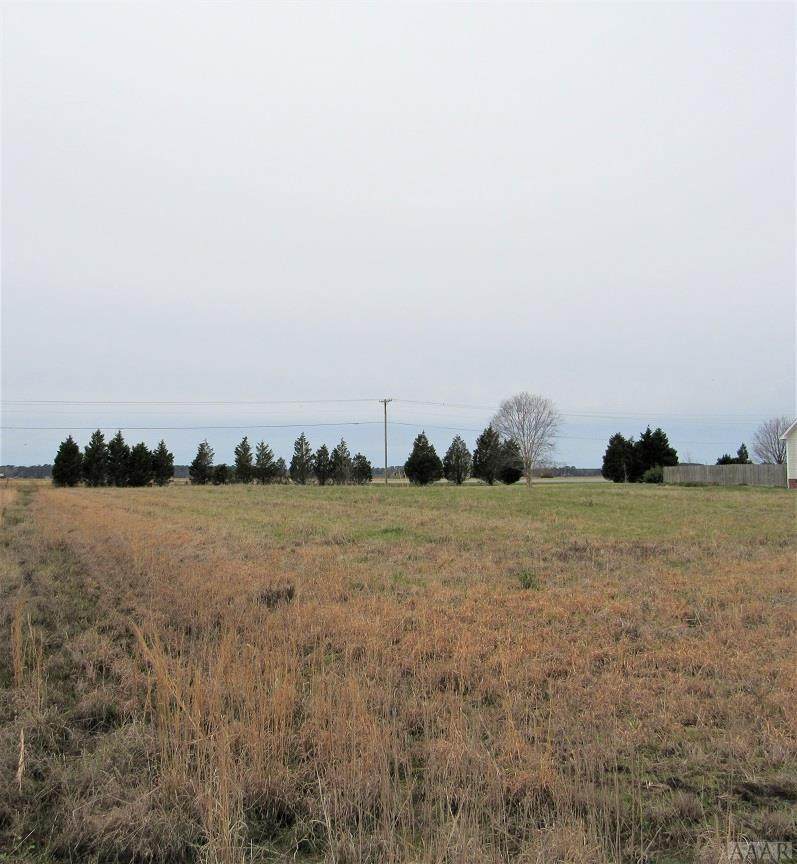 122 Climbing Vine Run - Photo 1