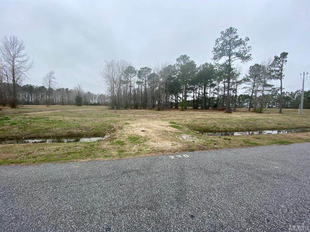 230 Stork St - Photo 1