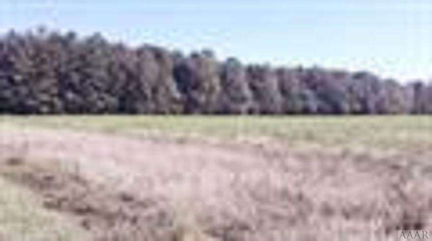 0 Hwy 94 - Photo 1