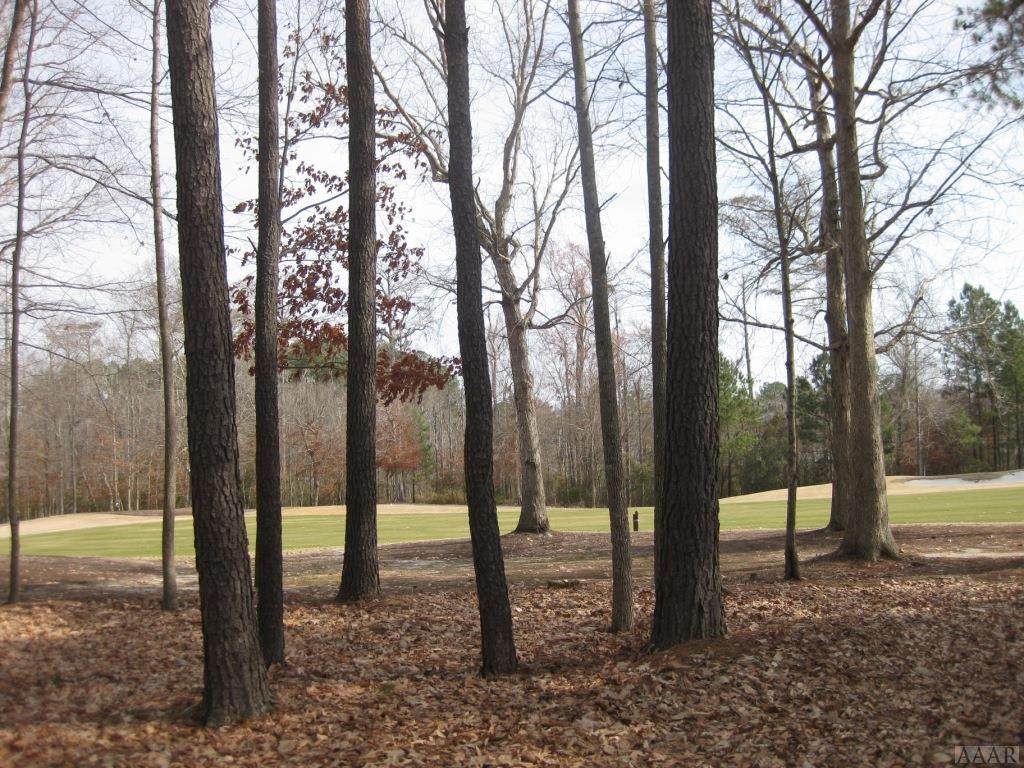 TBD Roanoke Dr - Photo 1