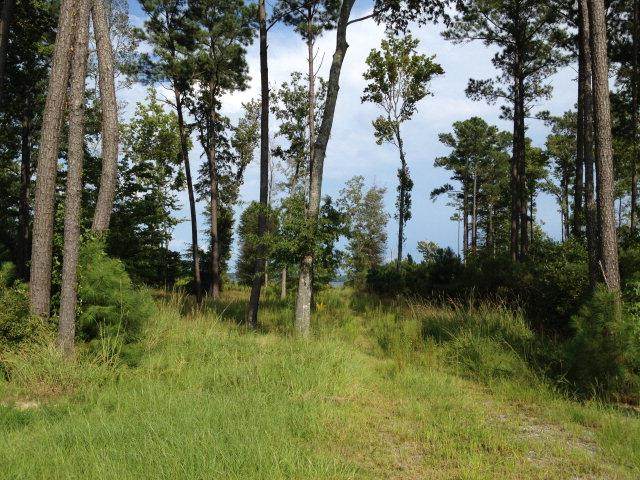 134 Dockery Drive - Photo 1