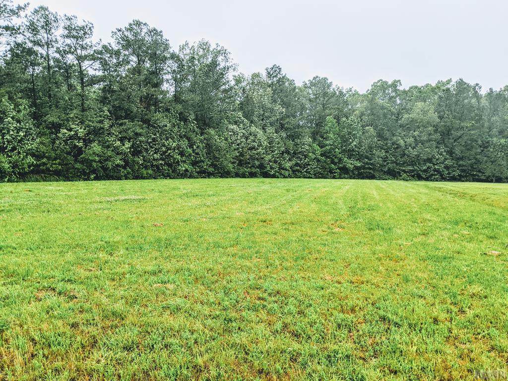 127 Mulberry Lane - Photo 1