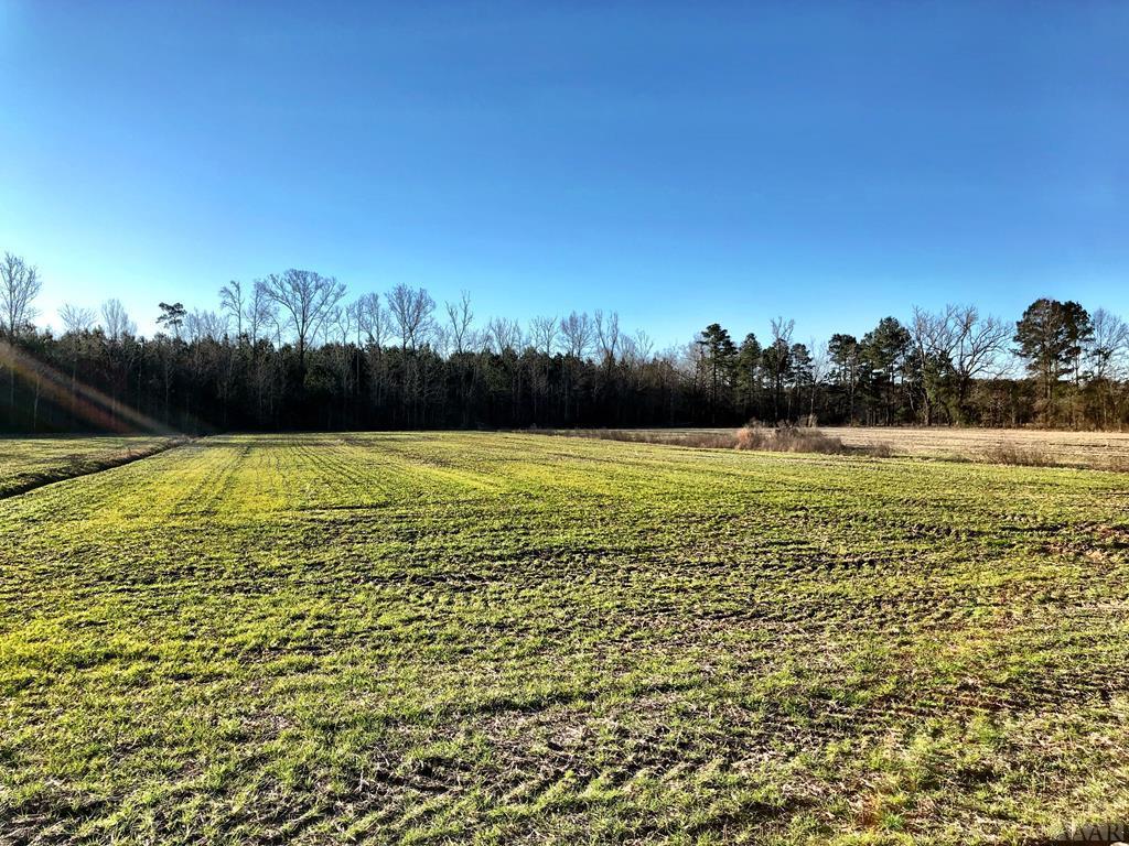 702 Deep Creek Road - Photo 1